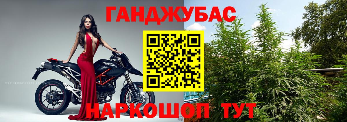 Шишки марихуана планчик Минусинск